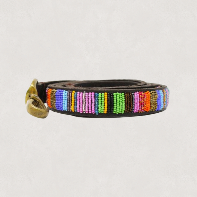Beaded Dog Lead