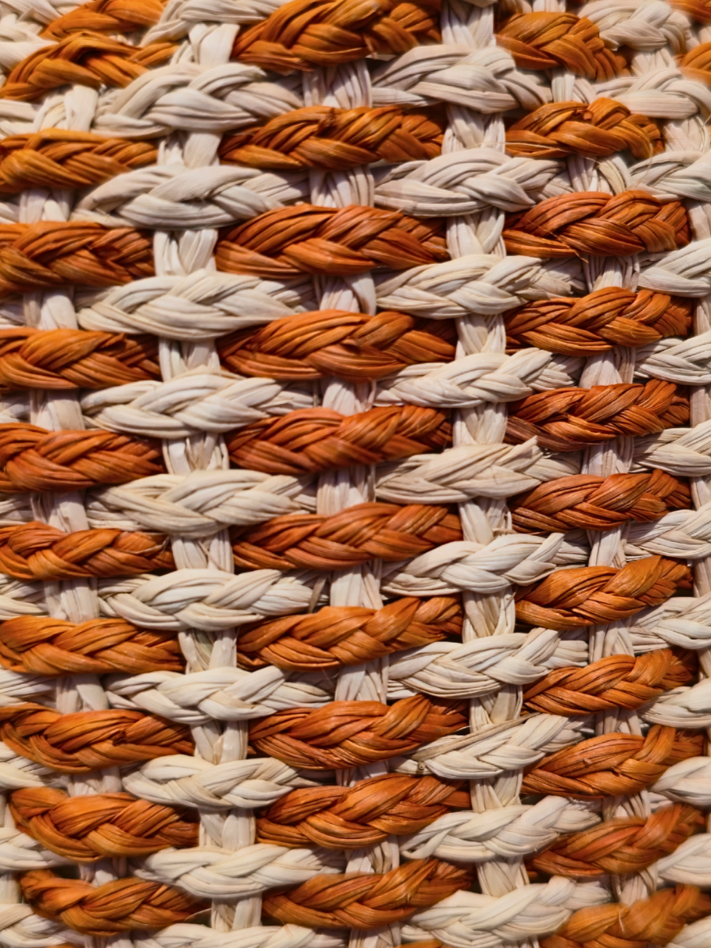 Handwoven iraca bucket bag with sculptural shape and vibrant weave.