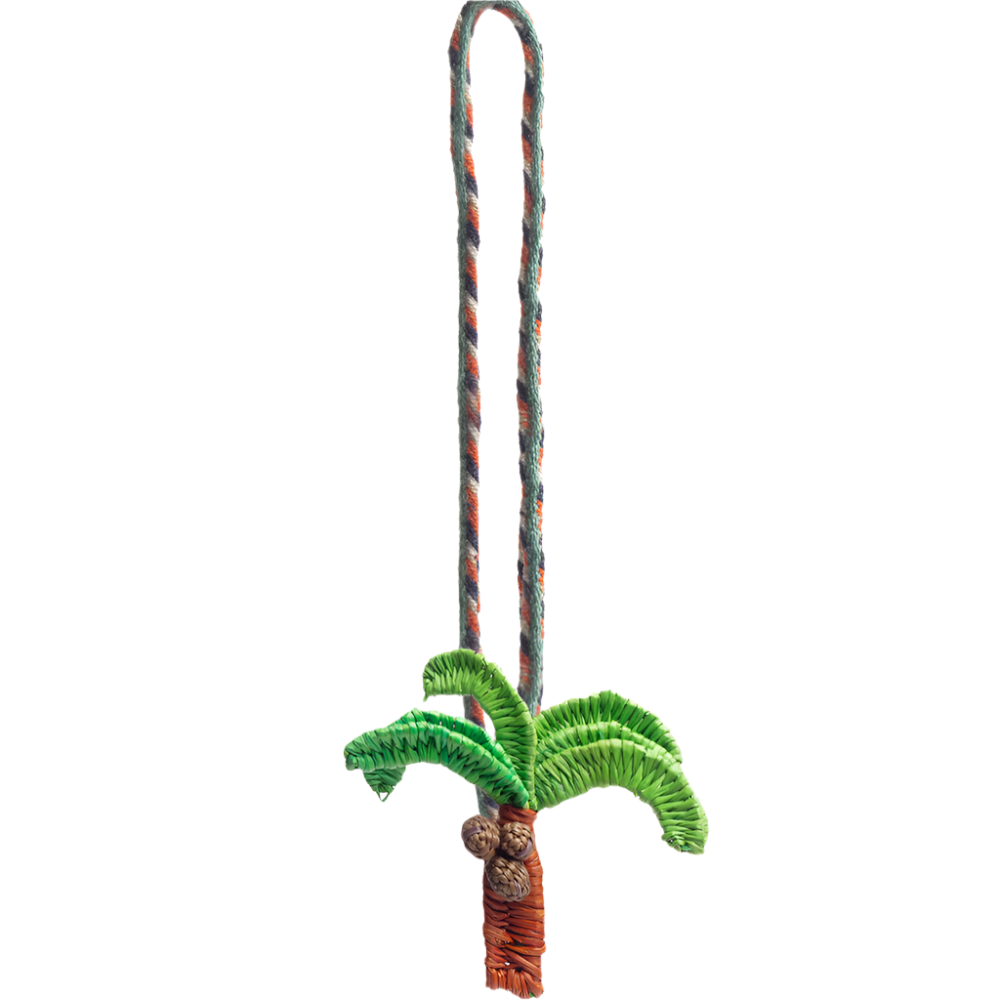 Iraca Charm Palm Tree