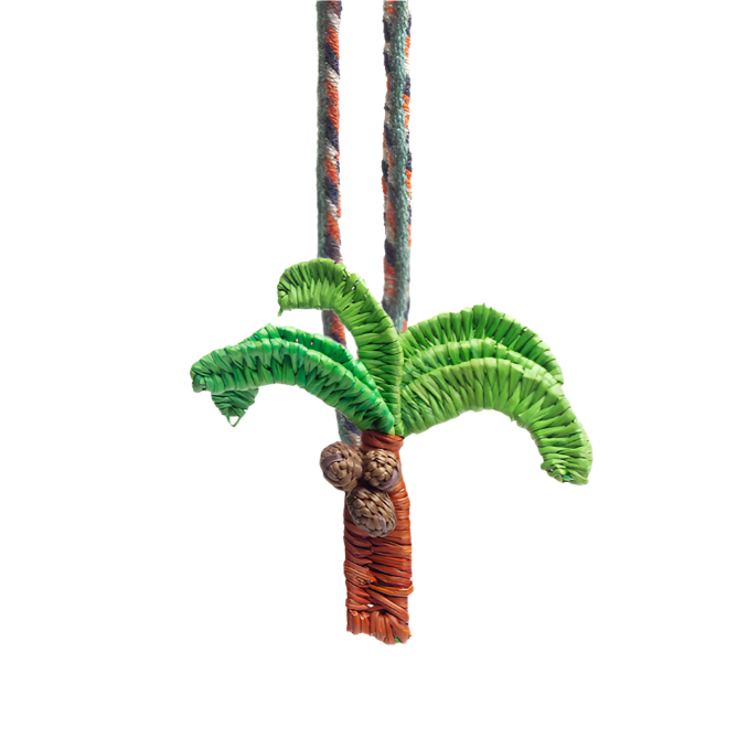 Iraca Charm Palm Tree