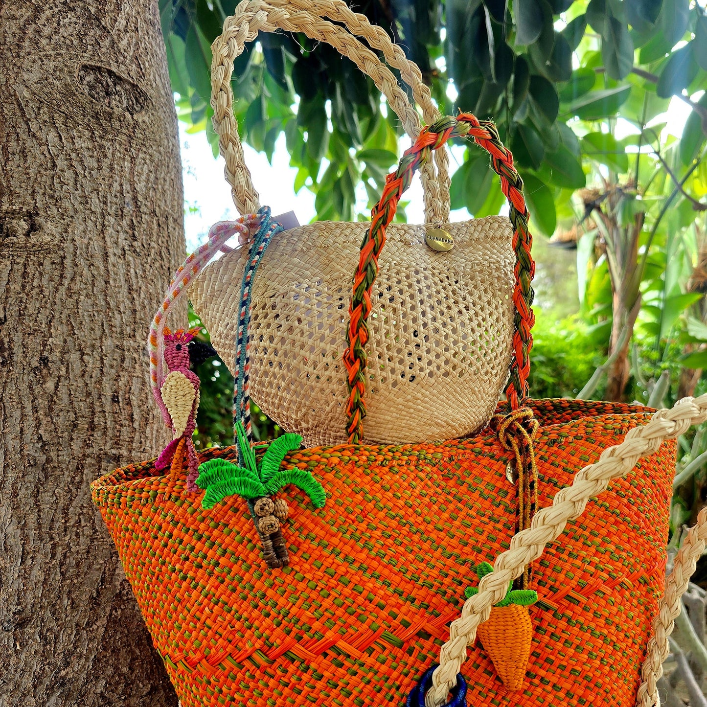 Iraca Charm Palm Tree
