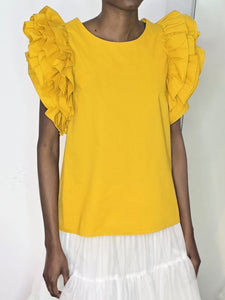 Ruffled Top