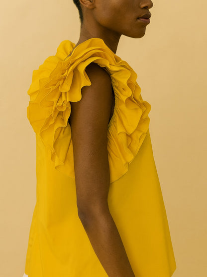 Ruffled Top