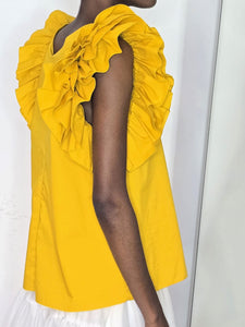 Ruffled Top