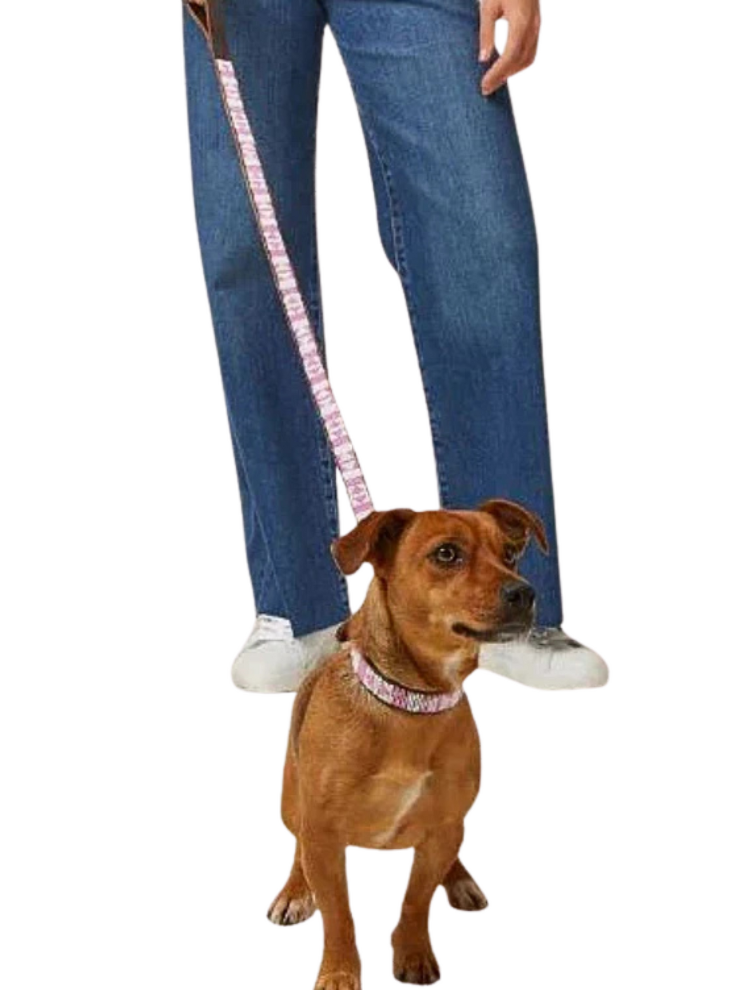 pink Beaded Dog Lead