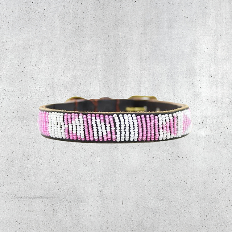 Beaded Dog Collar