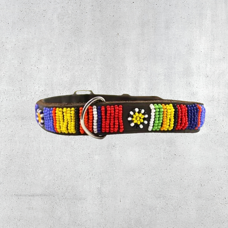 Beaded Dog Collar