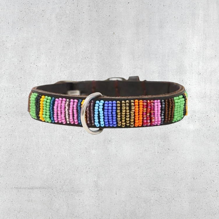 Beaded Dog Collar