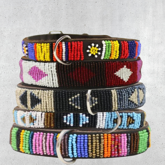 Beaded Dog Collar