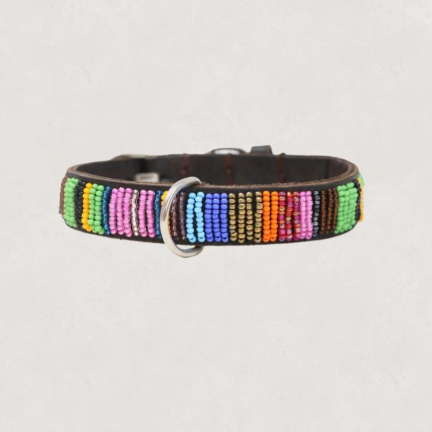 Beaded Dog Collar
