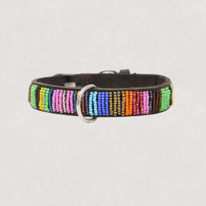 Beaded Dog Collar