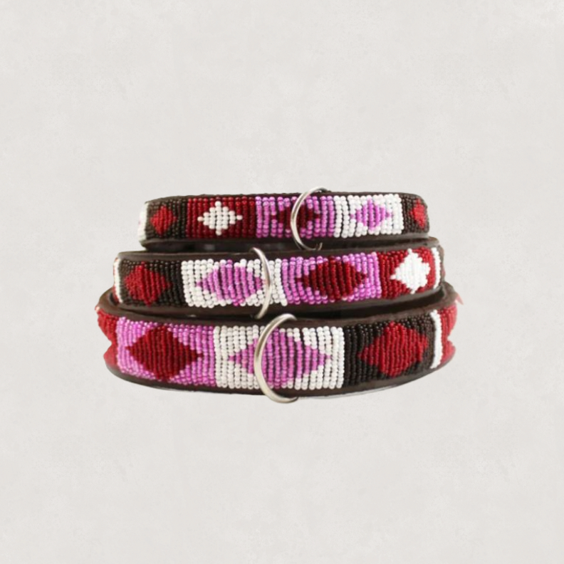 Beaded Dog Collar