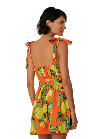 Colorful Bright Orange With Pears Pattern Mini Sleeveless Dress By Farm Rio