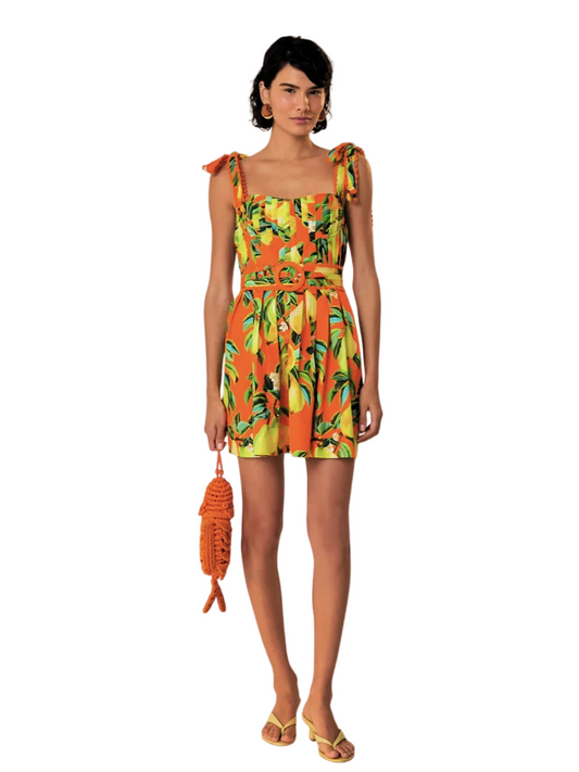 Colorful Bright Orange With Pears Pattern Mini Sleeveless Dress By Farm Rio