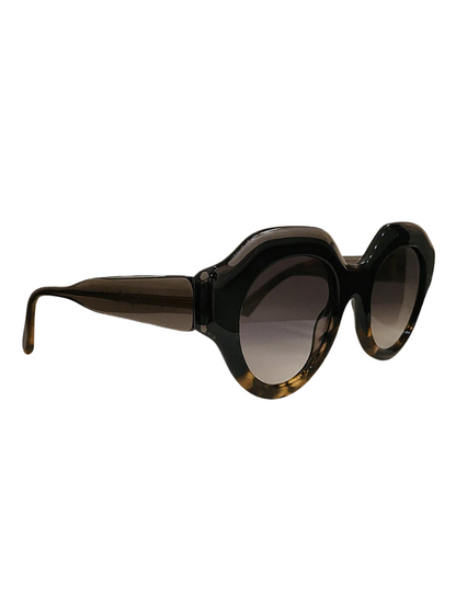 Black Tortoise sunglasses