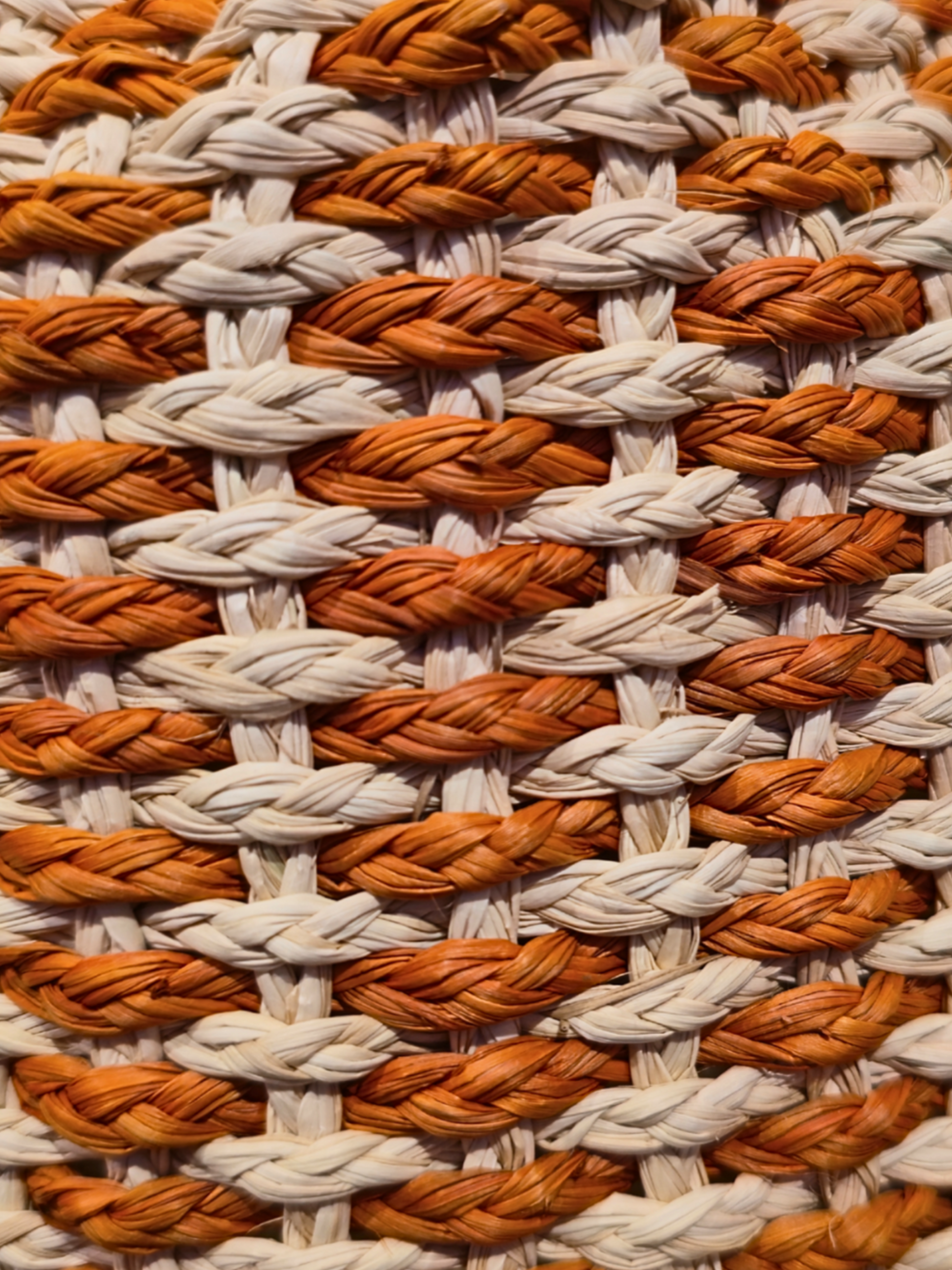 Handwoven iraca bucket bag with sculptural shape and vibrant weave. 
