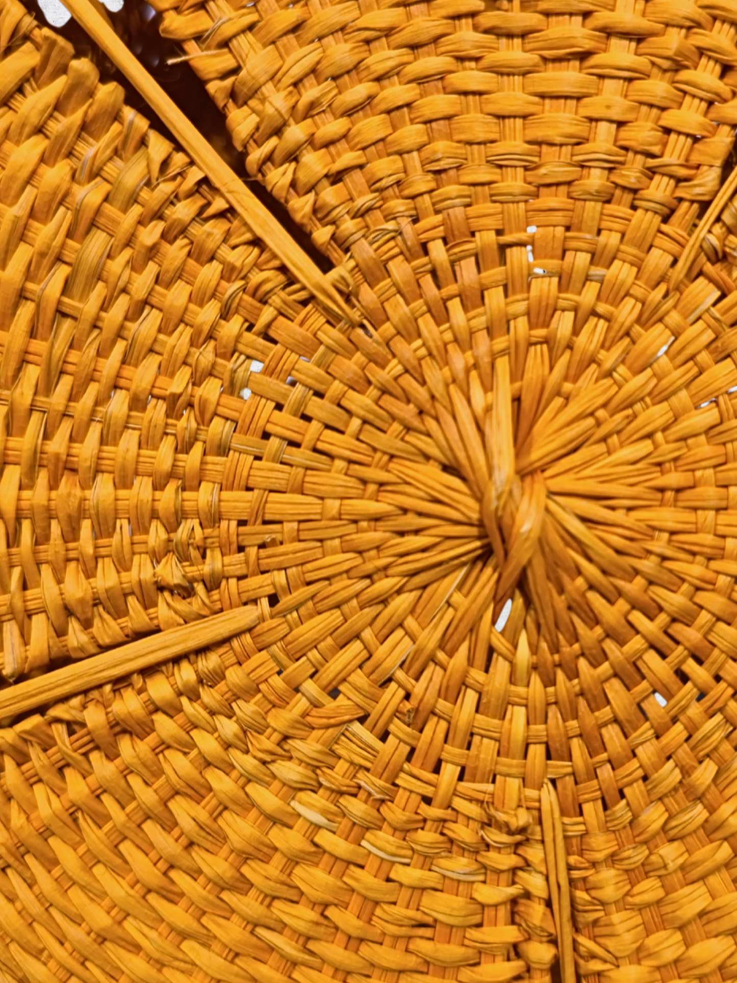 Handwoven palma de iraca bag with  round handle