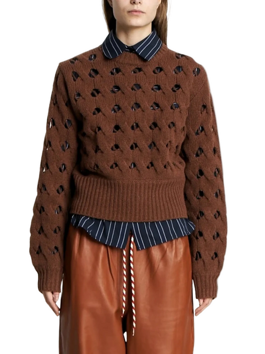 BROWN SWEATER