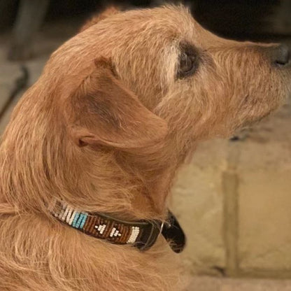 Beaded Dog Collar