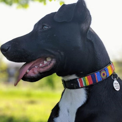 Beaded Dog Collar