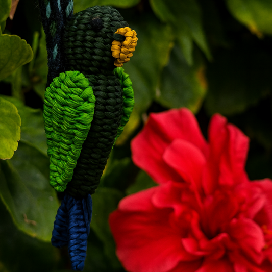 Iraca Charm Parrot