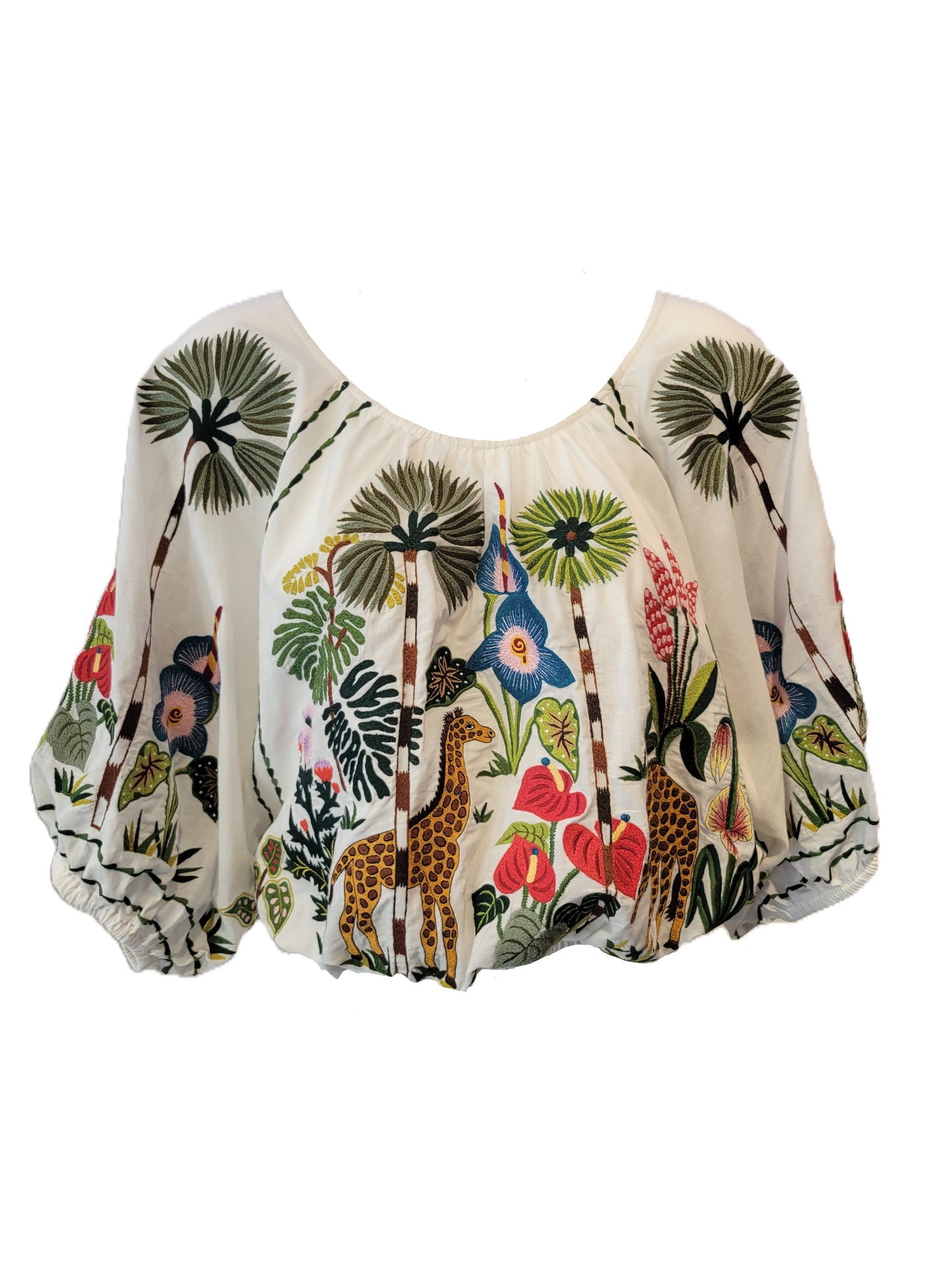 Giraffe Crop
