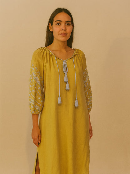 Benaras Dress Light Green Light Blue
