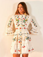 Load image into Gallery viewer, Pitanga Embroidered Belted Mini Dress

