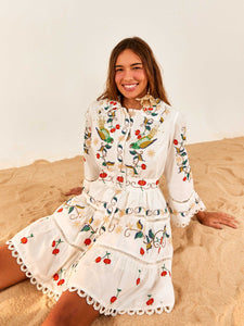 Pitanga Embroidered Belted Mini Dress
