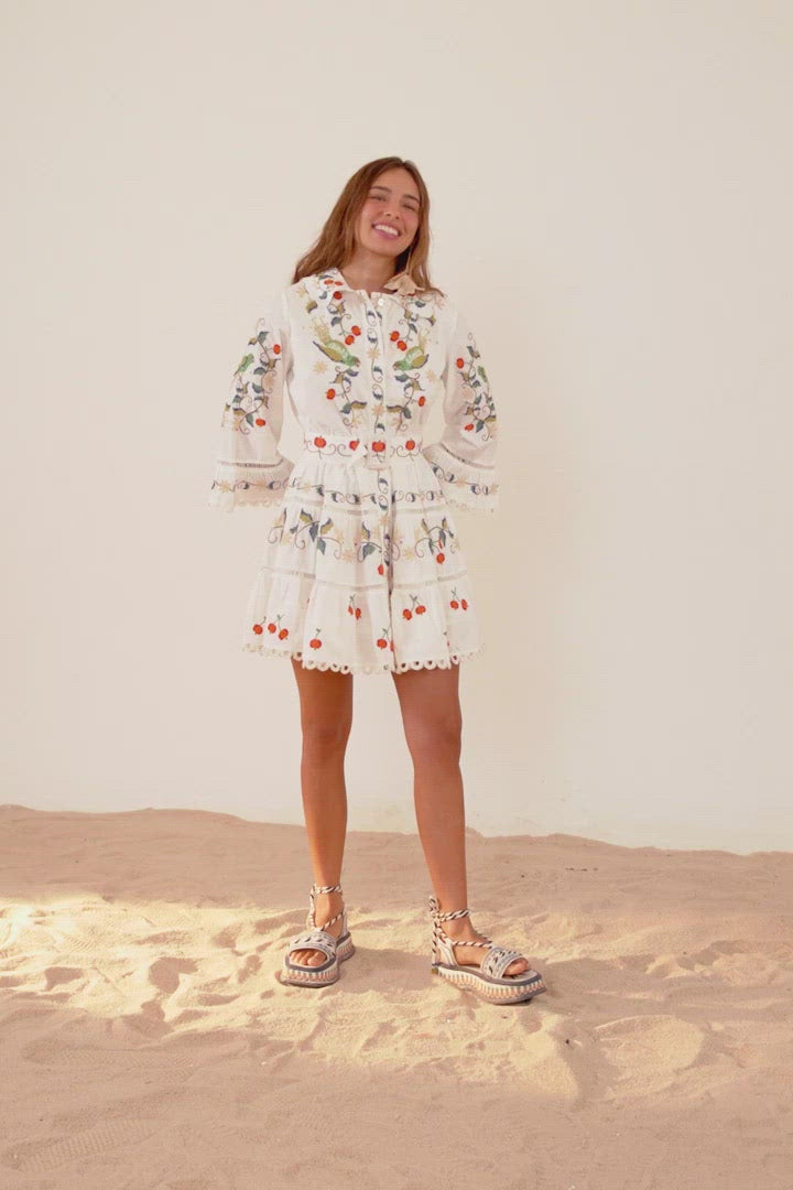 Pitanga Embroidered Belted Mini Dress
