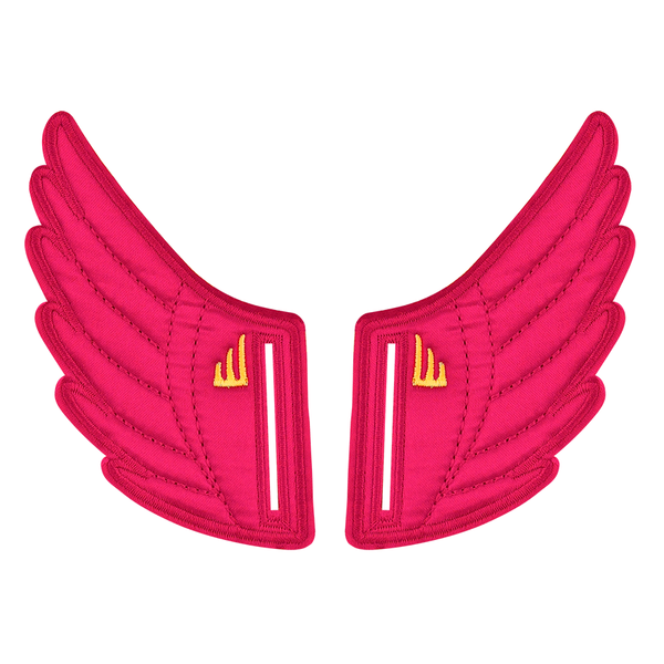 pink fuchsia Shwings shoe accessory